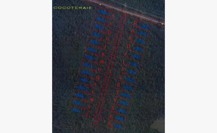 Terrain agricole à Iracoubo