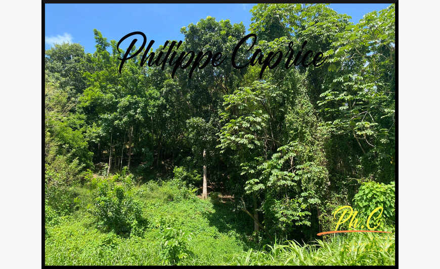 Martinique (972), Riviere Salee - Terrain de 3 394,00 m²