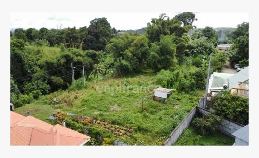 Morne Des Esses terrain
