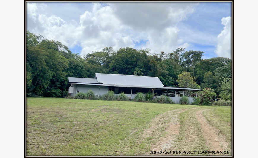 A Montsinery Tonnegrande (97356 Guyane Française) Une