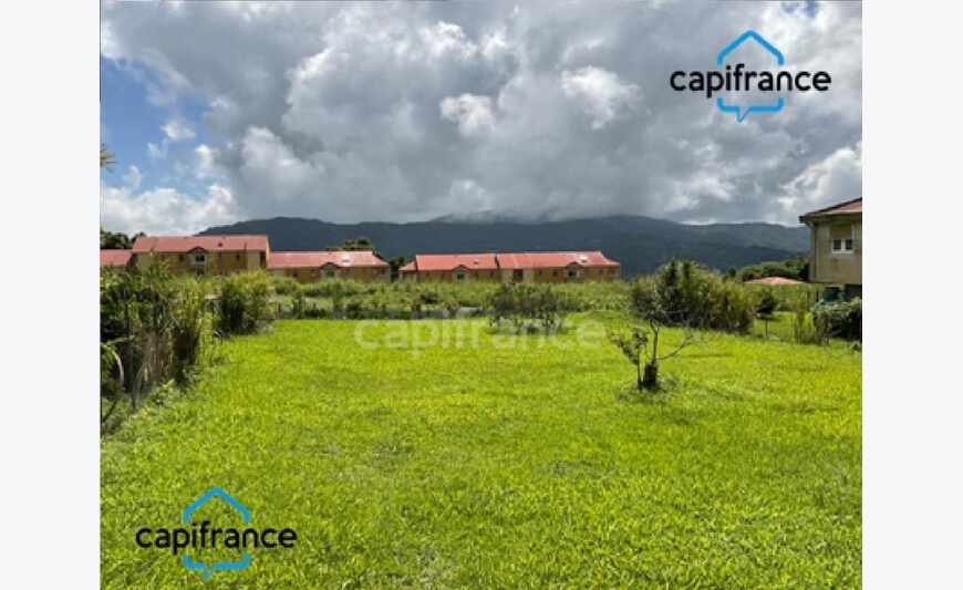 Terrain Maison Morne Rouge
