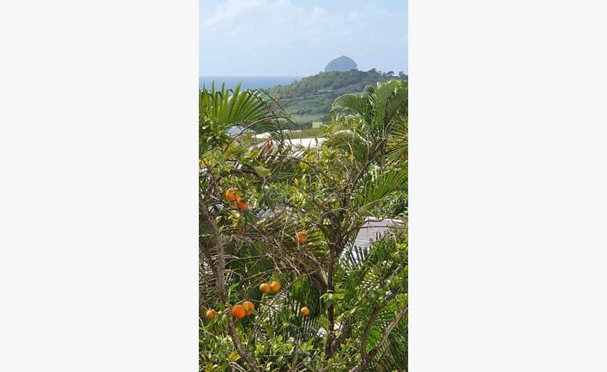 Dpt Martinique (972) Ste Luce Suberbe Vlla Atypique & Unique