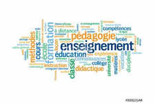 Cours de Français et langues étrangères par webcam