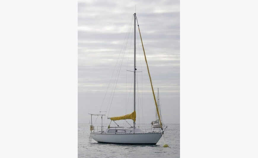 Brin de Folie 8.7m