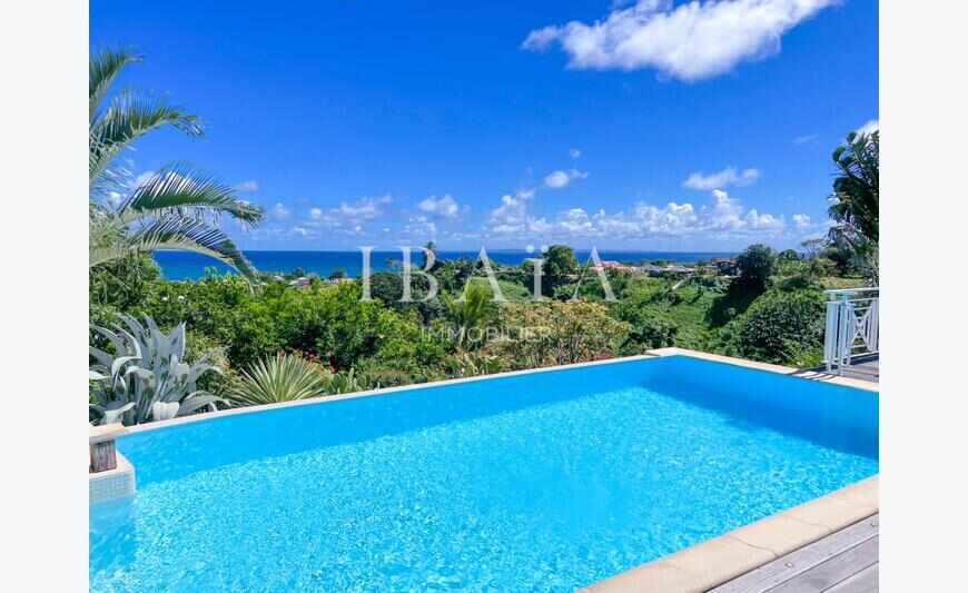 Ibaia Immobilier Fwi