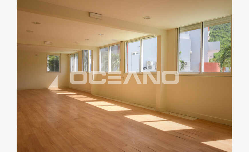 Commercial space Bellevue