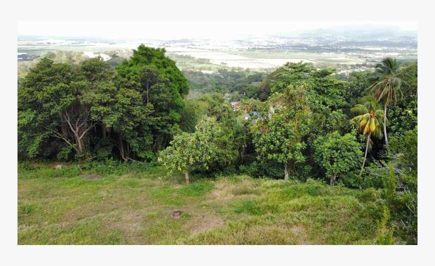 Le Lamentin terrain de 2020 m² avec...