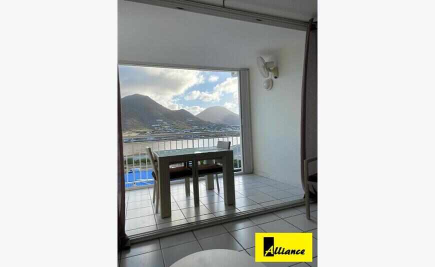Appartement Studio 39 M2 + 8 M2 De...