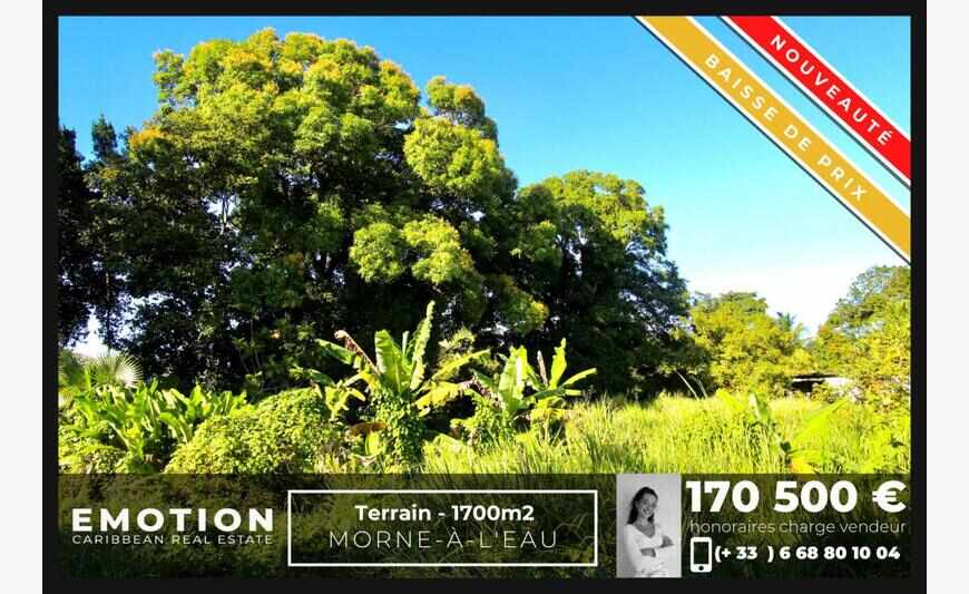 Terrain - 1 700 m2 - Morne-À-L'Eau -...