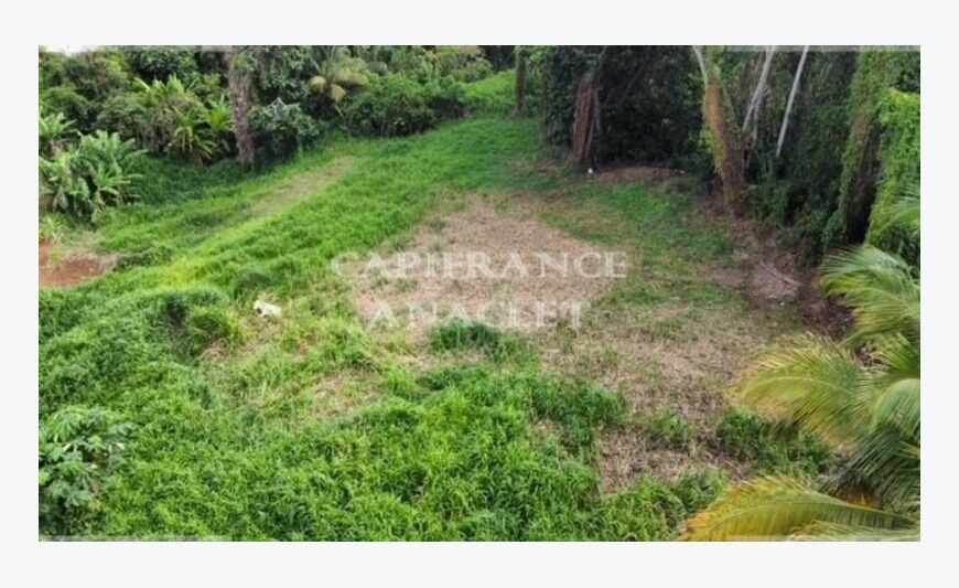Le Lamentin terrain de 2500 m² vue mer