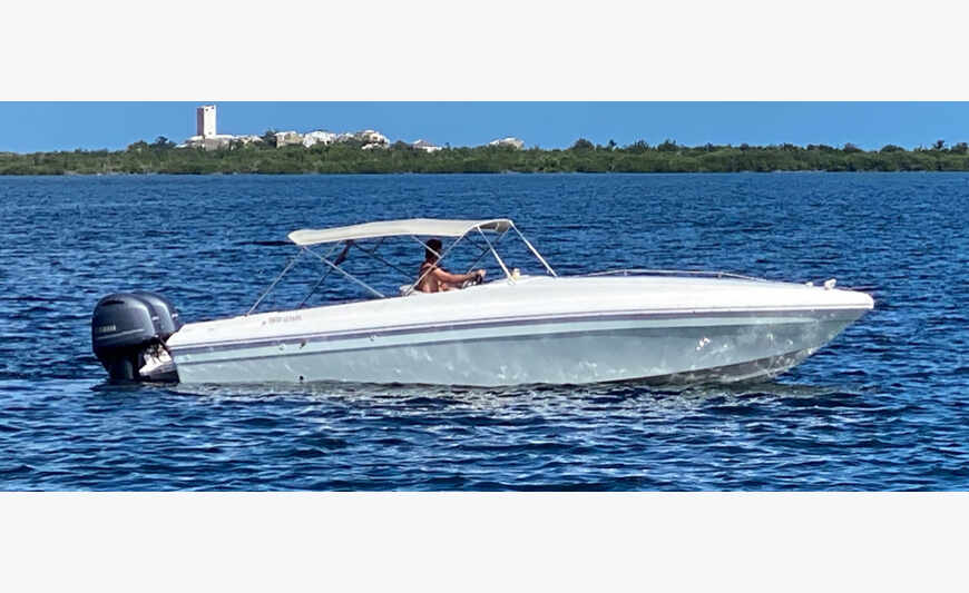 Powerboat :Nautica Shogan 30 1991
