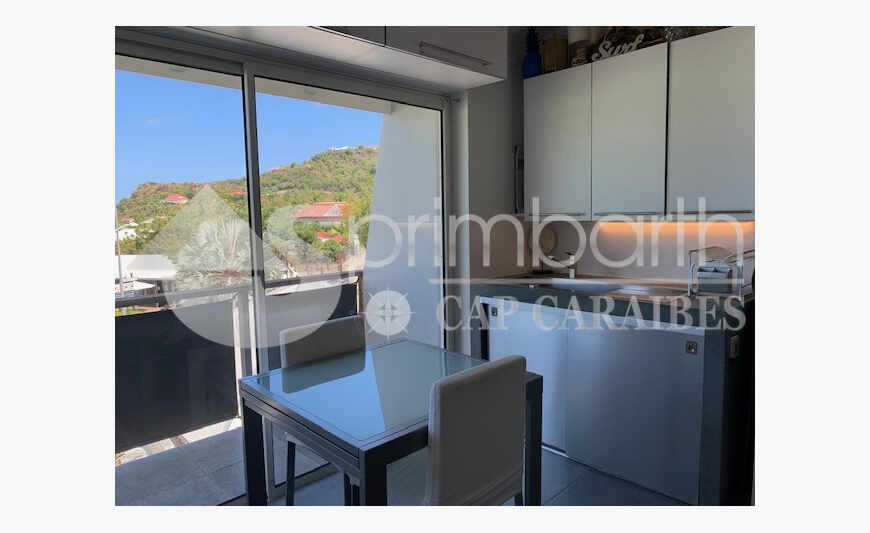 Saint-Barth - Studio Renove A Saint-Jean