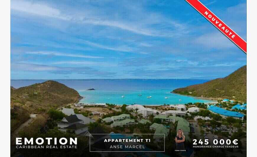 Appartement T1 Anse Marcel