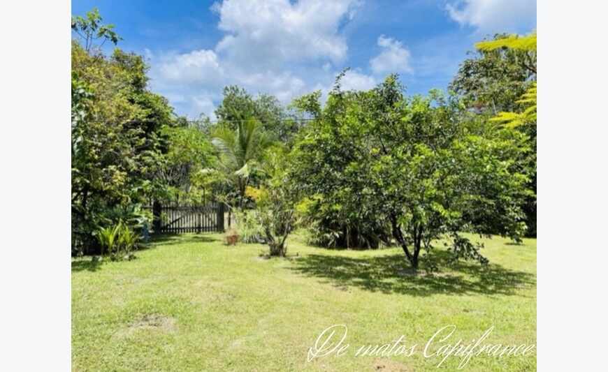 maison T2 de 98 m² sur un terrain de 30046 m²