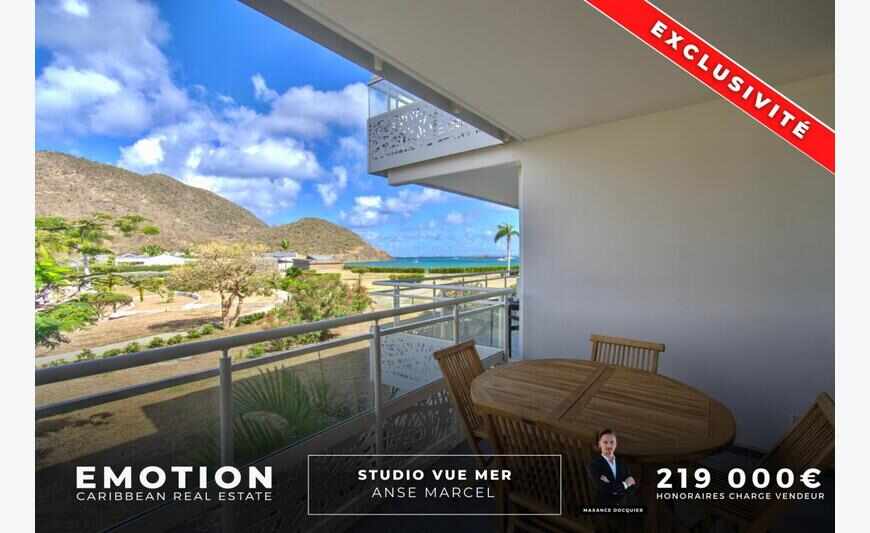 Studio vue mer à l'Anse Marcel