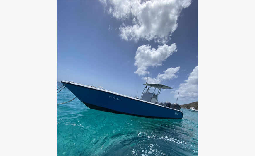 Saintoise used fishing / pleasure with trailer
