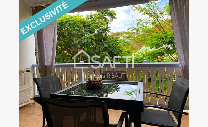 Type 2 à Anse Marcel