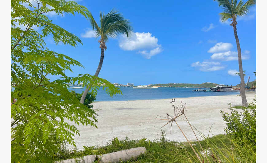 One Bedroom Condo At Flamboyant