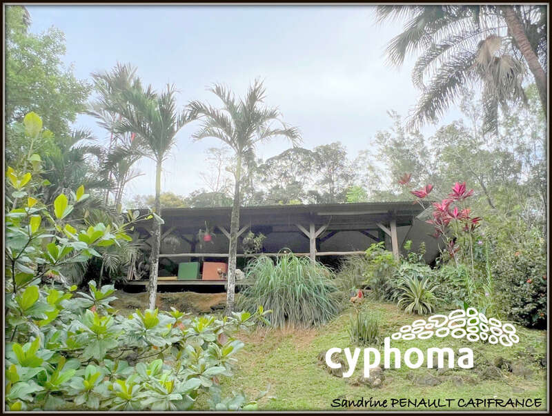 A Roura (97311 Guyane Française) Une...