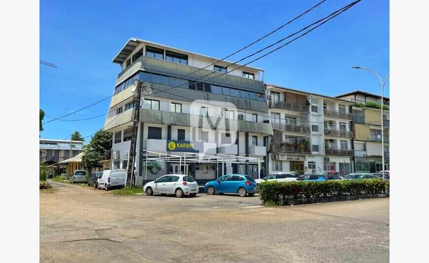 Cayenne immeuble de rapport de 745 m²...