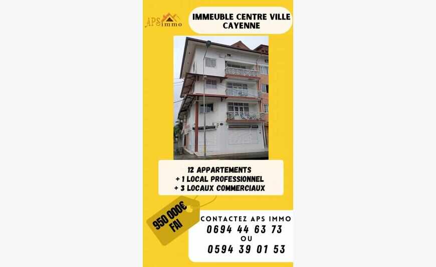 Immeuble 1+3+Combles 2 lots cville...