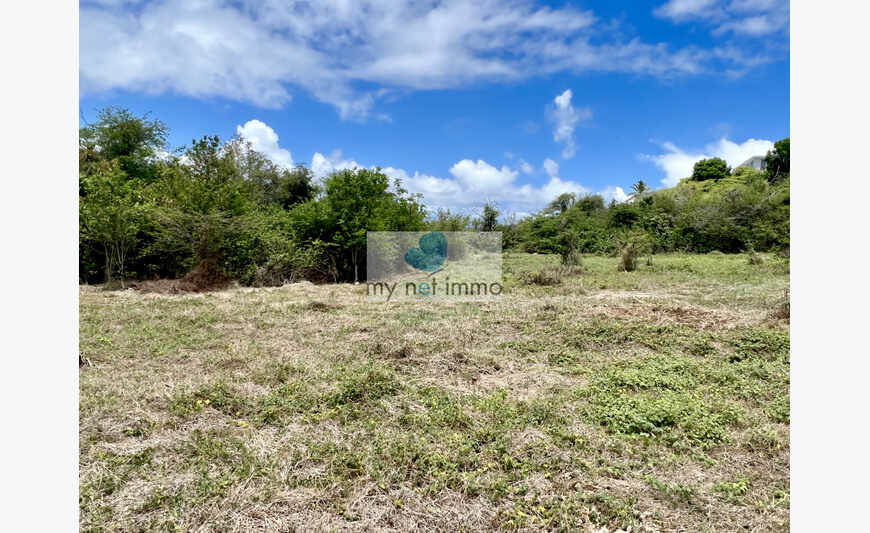 TERRAIN PLAT LOTISSEMENT VIABILISE (LOT 17)