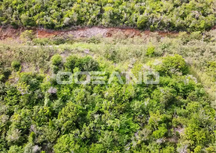 Terrain Mandara Résidence, Red Pond $305,000