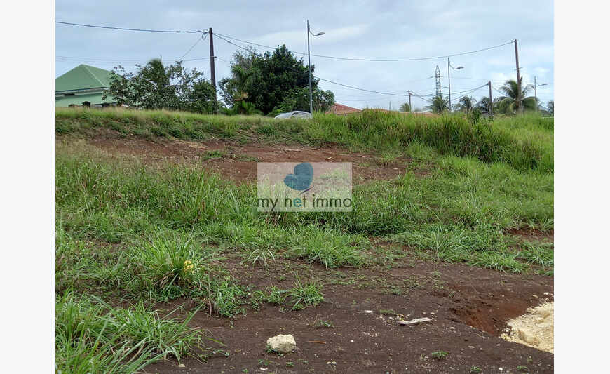 Beau Terrain De 702m2 Lamentin - Baisse De Prix