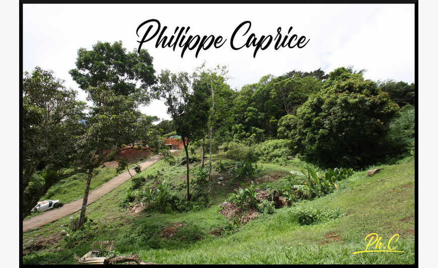 Sainte Luce - Terrain de 2 868,00 m²