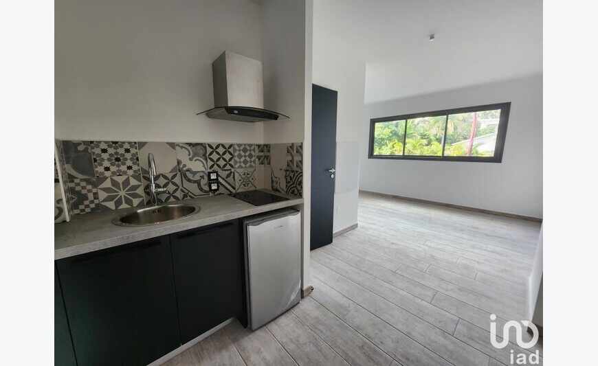 Appartement 1 pièce