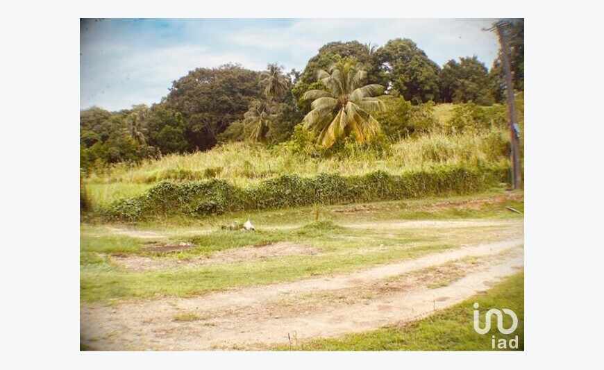 Terrain 1 100 m²