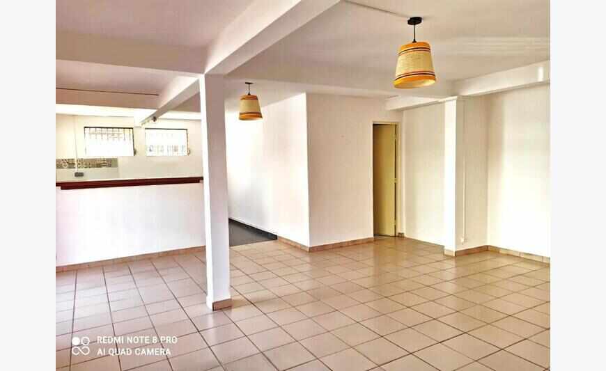 Grand appartement en duplex