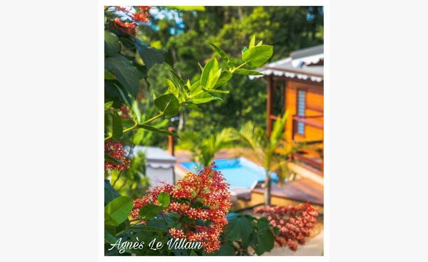 Domaine Touristique Haut de Gamme Vue...