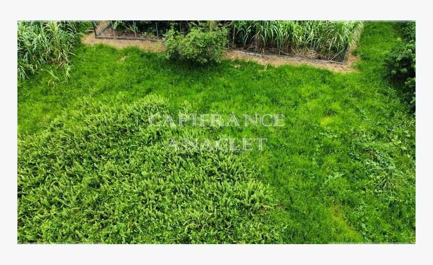 Le Robert terrain de 1000 m² totalement plat