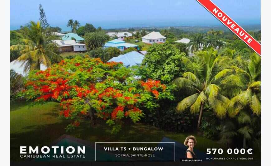 Villa T5 + son bungalow indépendant -...