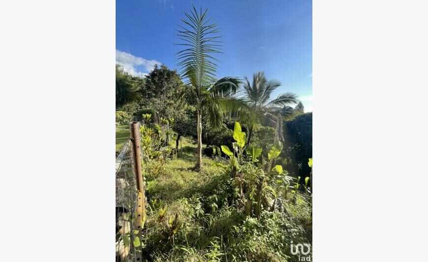 Terrain 1 276 m²