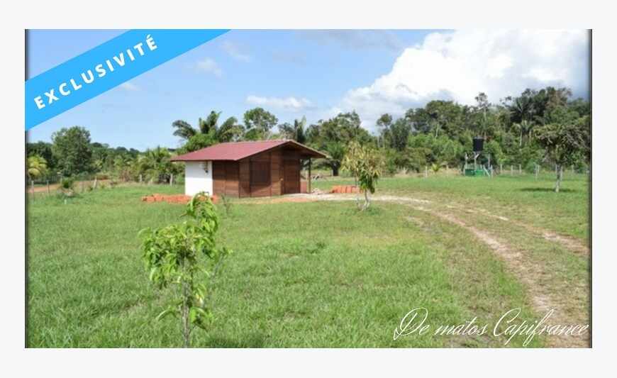 Kourou Deux Maisonnettes IdÉal Investisseur
