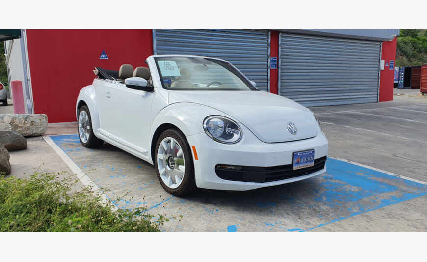 BEETLE 2014