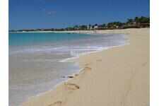 Terres Basses - Terrain