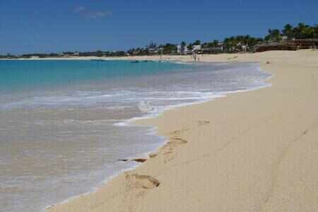 Terres Basses - Terrain