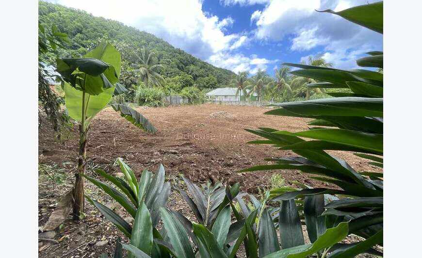En exclusivité Terrain Plat 2051 m2 Pointe Noire.