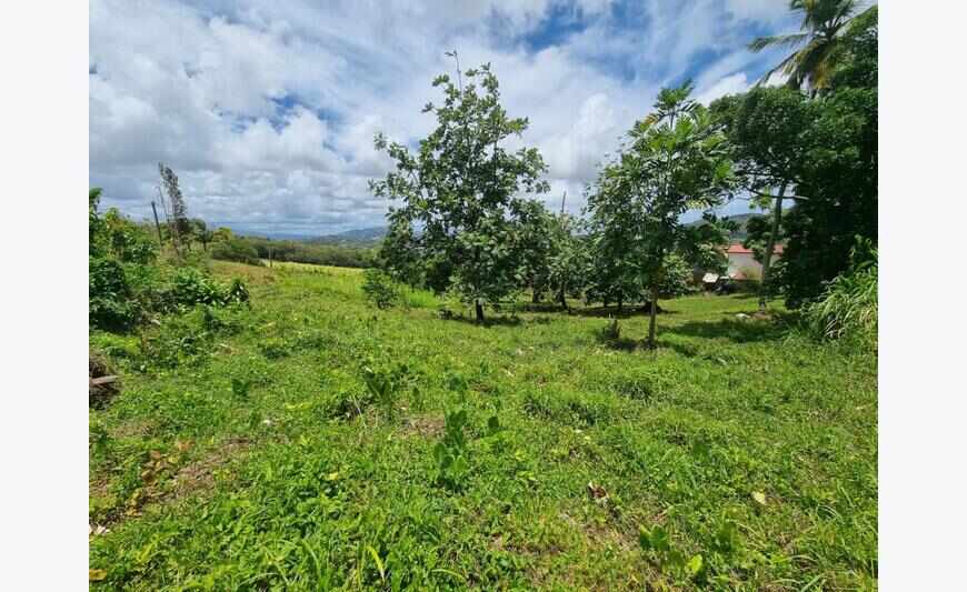 Riviere Salee : Exclusivité pour ce beau terrain de 5000m²