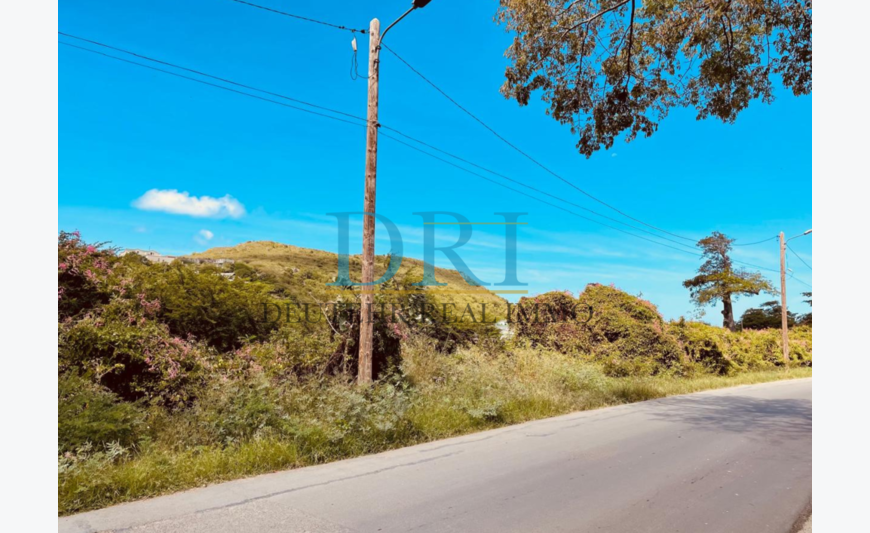 TERRRAIN CONSTRUCTIBLE À FRIAR’S BAY