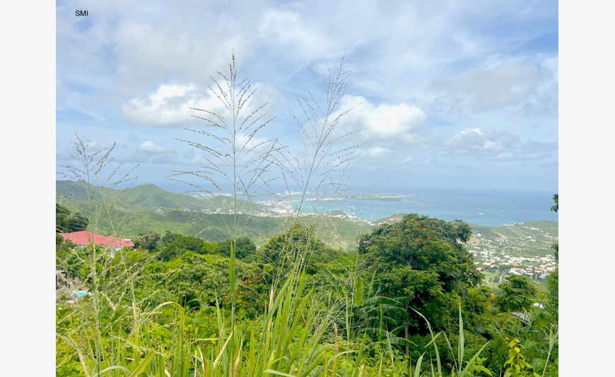 Terreno com vistas incríveis e alvará de construção