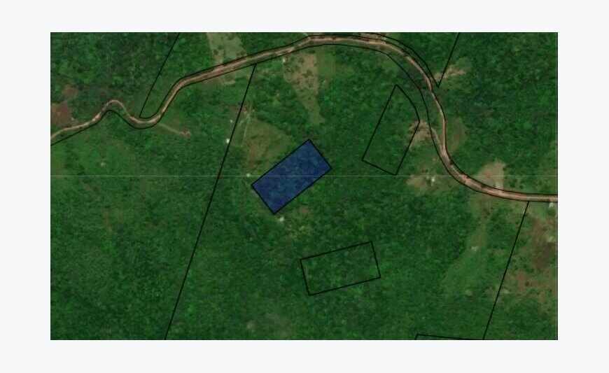 Dpt Guyane, à vendre Roura Terrain de 20000 m²