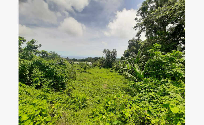 Terrain L Ajoupa Bouillon 1363 m2