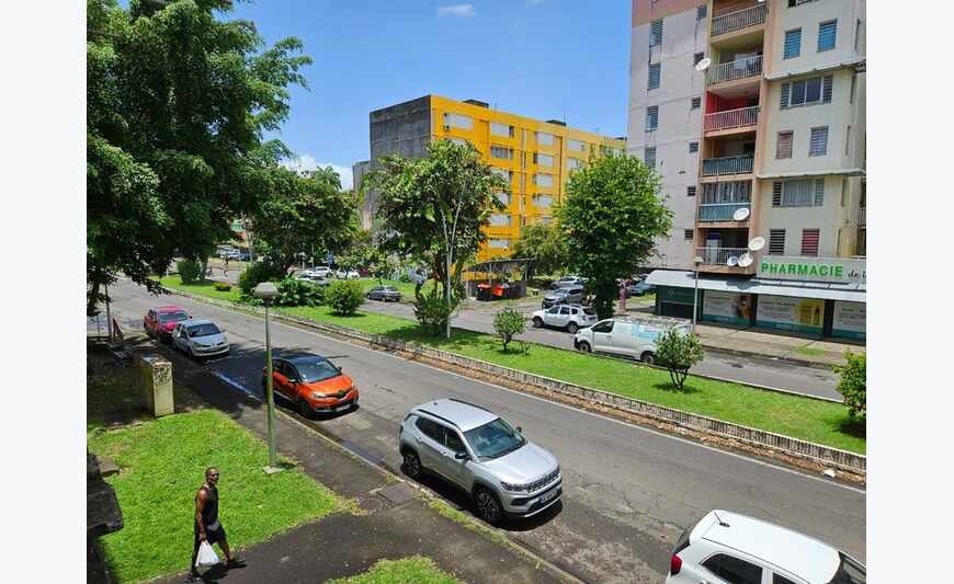 Appartement 7 pièces (971)