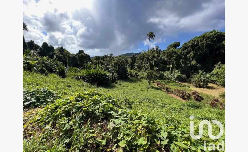 Terrain à bâtir 2 903 m²