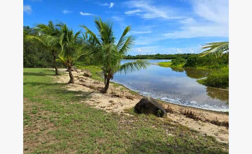 Terrain 1 Ha A Batir Avec Maison De Gardien