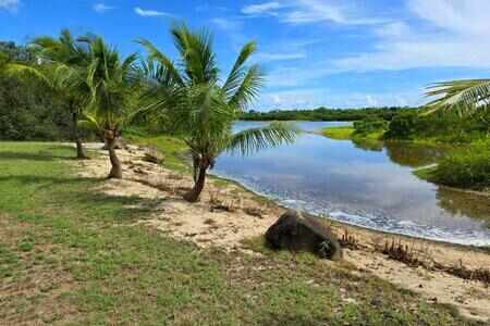 1 Ha Land To Build With Caretaker'S House